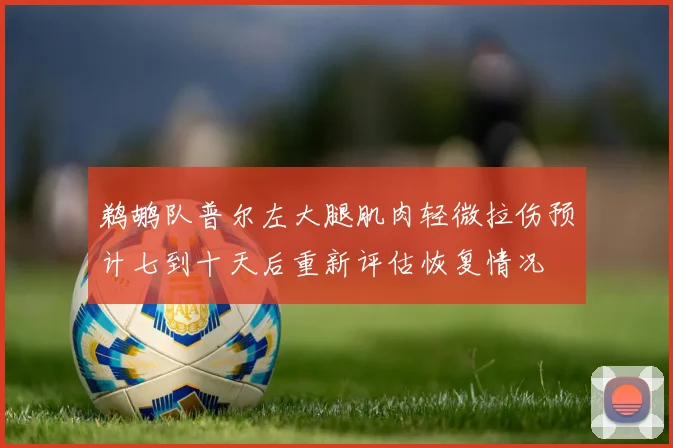 鹈鹕队普尔左大腿肌肉轻微拉伤预计七到十天后重新评估恢复情况